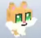 Orange Button Cat with green eyes and white cheeks.