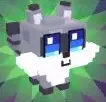 Gray Bandit Raccoon with dark eye markings and white cheeks.