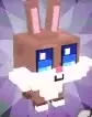 Brown Cocoa Rabbit with long ears, blue eyes and white cheeks.
